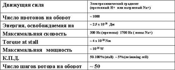 Характеристики работы жгутика бактерии